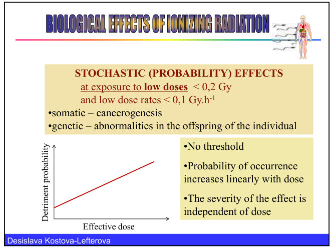 Graph of detriment probability against effective dose, a straight line with no threshold, showing that the probability rises linearly with dose and that the severity is independent of dose