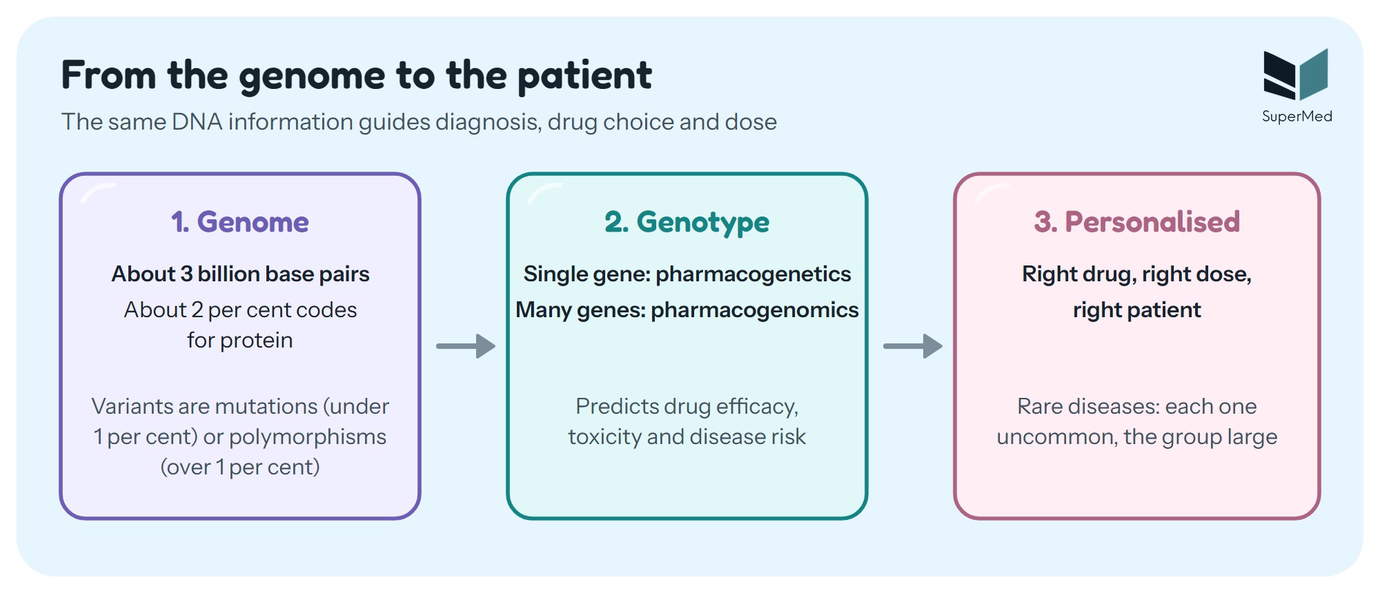Schematic: three linked steps from the genome to the patient. The genome holds about 3 billion base pairs, of which about 2 per cent codes for protein; variants are mutations below 1 per cent of the population or polymorphisms above it. Genotype, read as a single gene (pharmacogenetics) or many genes (pharmacogenomics), predicts drug efficacy, toxicity and disease risk. Personalised medicine then gives the right drug at the right dose for the right patient; rare diseases are each uncommon but the group is large