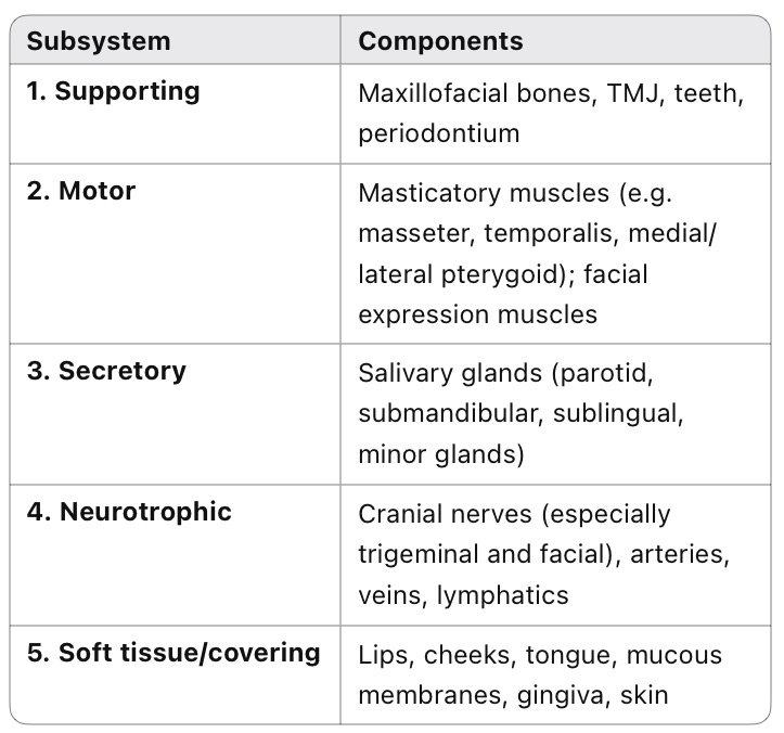 Table of the five subsystems of the masticatory system: 1. Supporting (maxillofacial bones, TMJ, teeth, periodontium), 2. Motor (masticatory muscles and facial expression muscles), 3. Secretory (salivary glands), 4. Neurotrophic (cranial nerves, arteries, veins, lymphatics), 5. Soft tissue or covering (lips, cheeks, tongue, mucous membranes, gingiva, skin)
