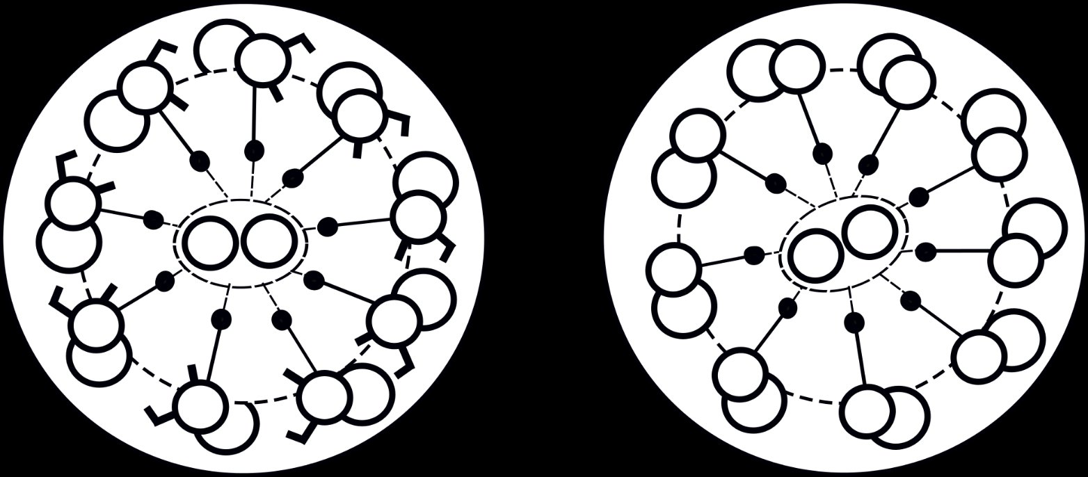 Cross-section of a normal axoneme with dynein arms on each doublet, compared with an axoneme in Kartagener's syndrome that lacks the arms