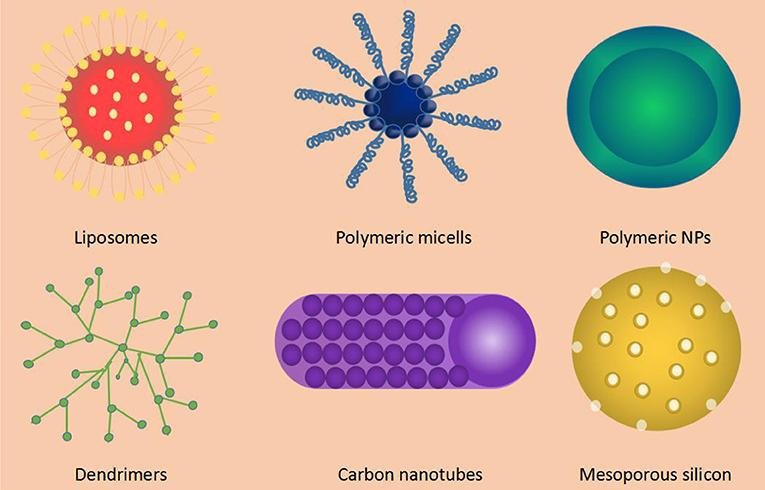 Types of drug delivery nanocarrier: liposomes, polymeric micelles, polymeric nanoparticles, dendrimers, carbon nanotubes and mesoporous silicon